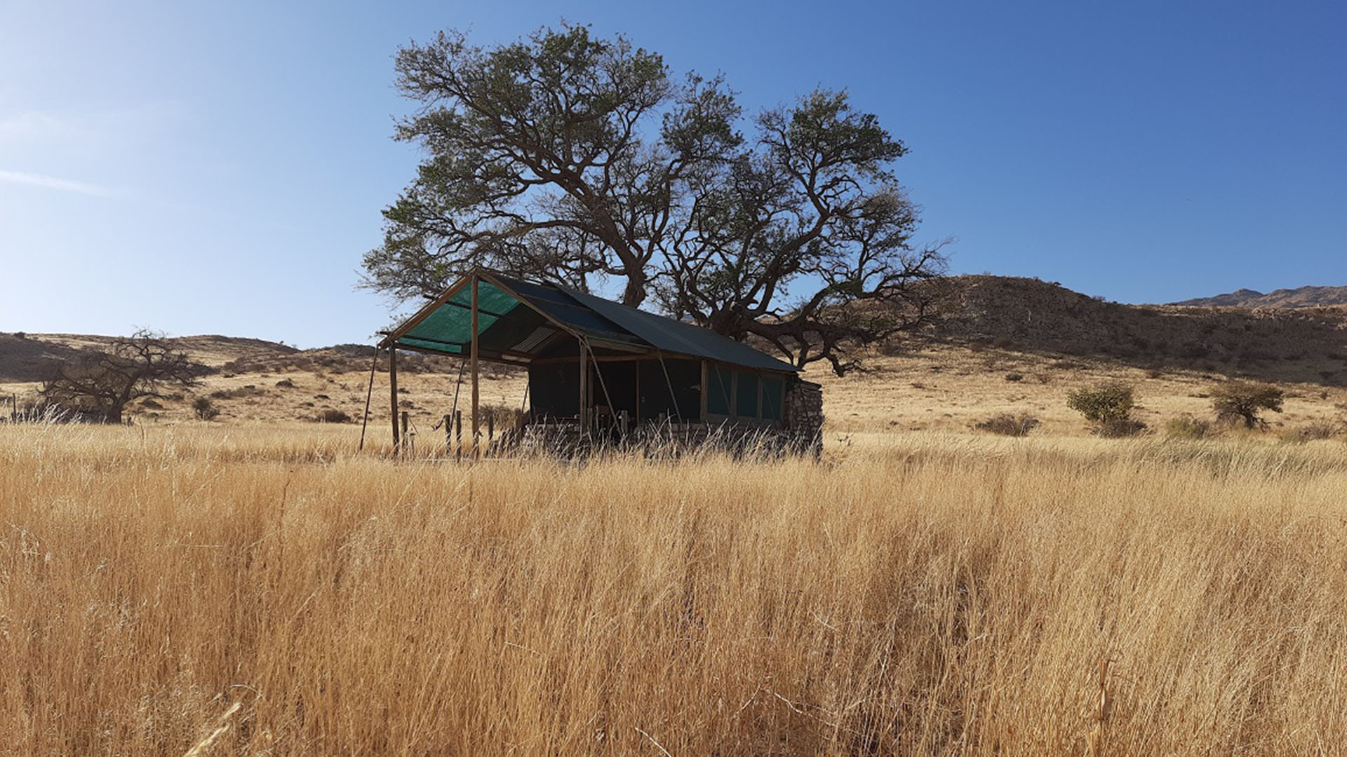 Bush Tent | Camp Gecko